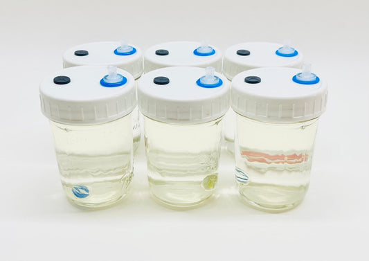 Liquid Culture Solution for Mushrooms - 6 Half Pint Jars - Sterilized - Silicone Seal - PTFE 0.22um Syringe Filter - Marble Mixer - fungicultureco