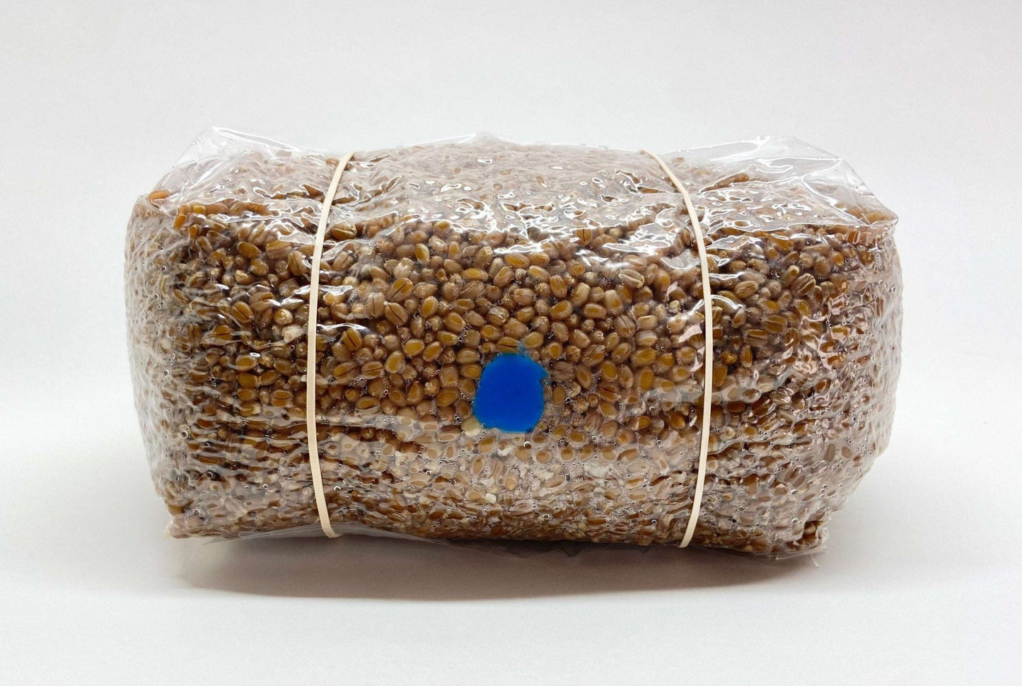 Organic Wheat Berries - Mushroom Grain Spawn Substrate - Sterilized - (5 lbs.) - 0.2 Micron Filter - Self - Healing Injection Port - Grow Bag - fungicultureco