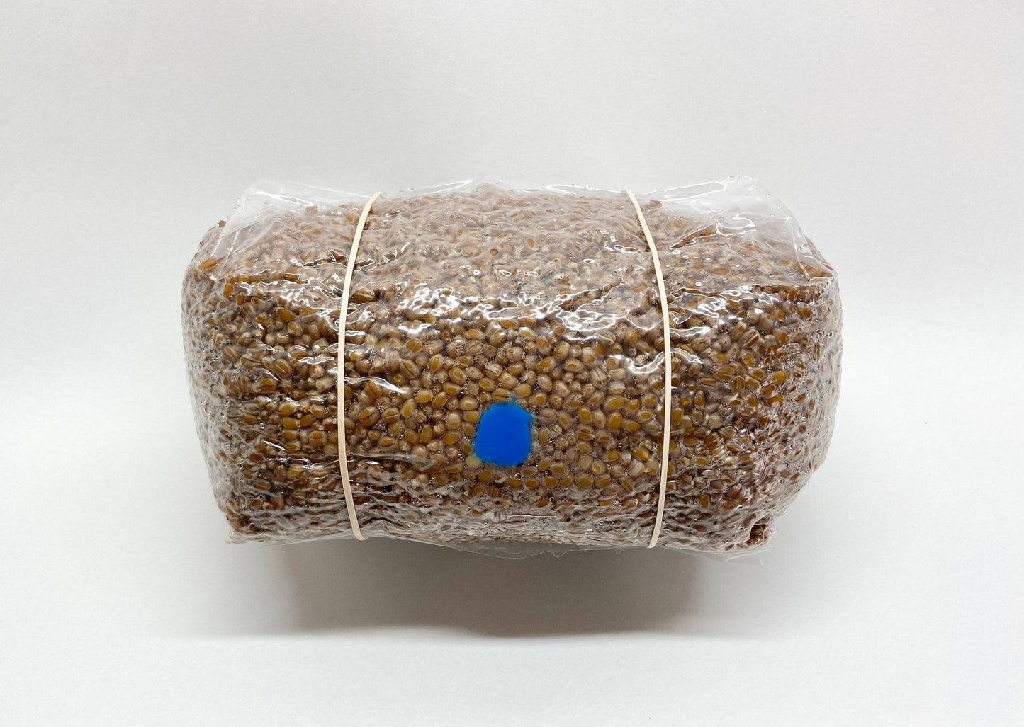 Organic Wheat Berries - Mushroom Grain Spawn Substrate - Sterilized - (5 lbs.) - 0.2 Micron Filter - Self - Healing Injection Port - Grow Bag - fungicultureco