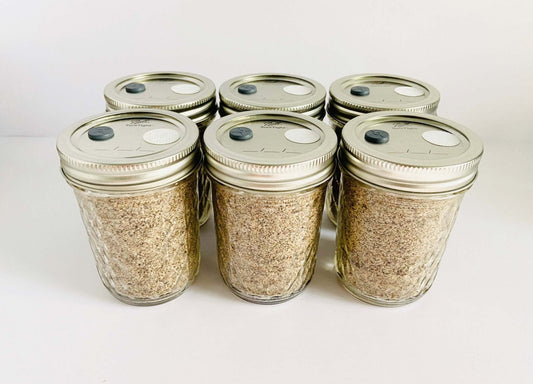 BRF Mushroom Substrate - 6 Half - Pint Jars - Sterilized - Organic Brown Rice Flour + Vermiculite - fungicultureco