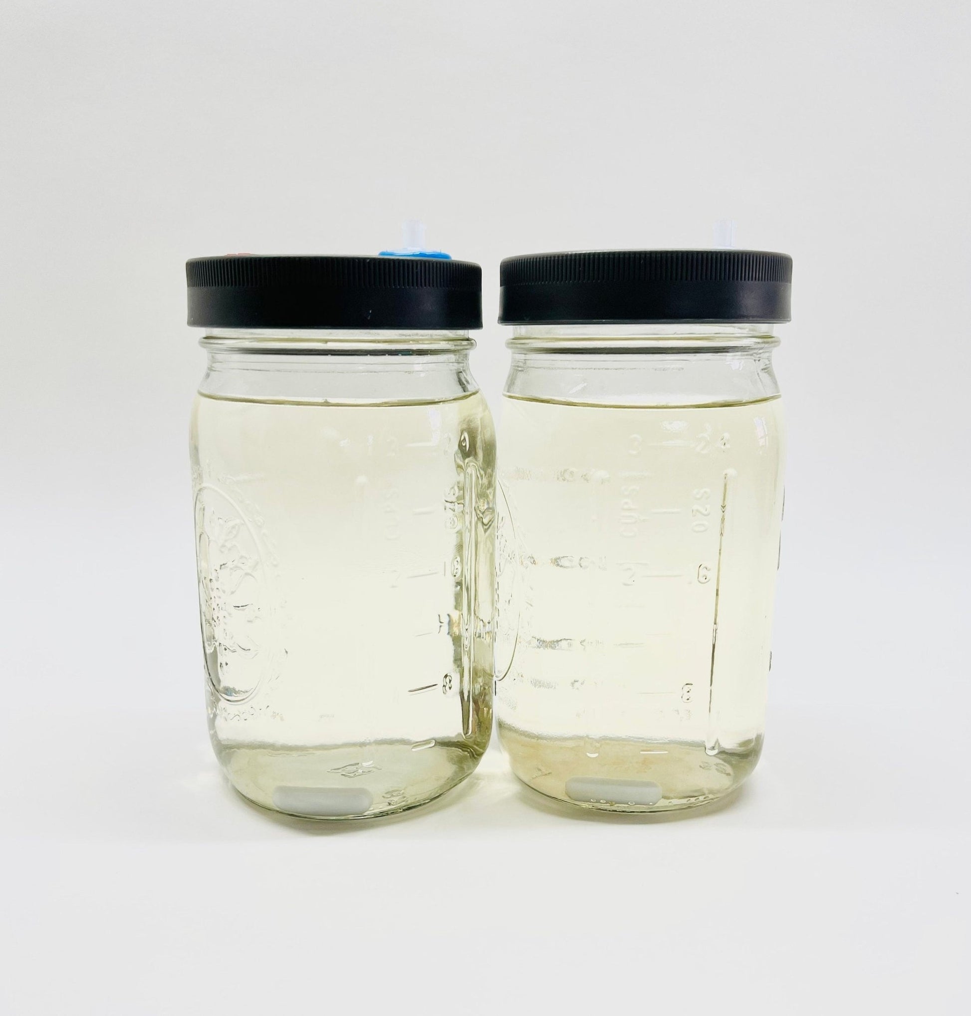 Liquid Culture Solution - 2 Quart Jars - Magnetic Stir Bar - PTFE 0.22um Syringe Filter - fungicultureco