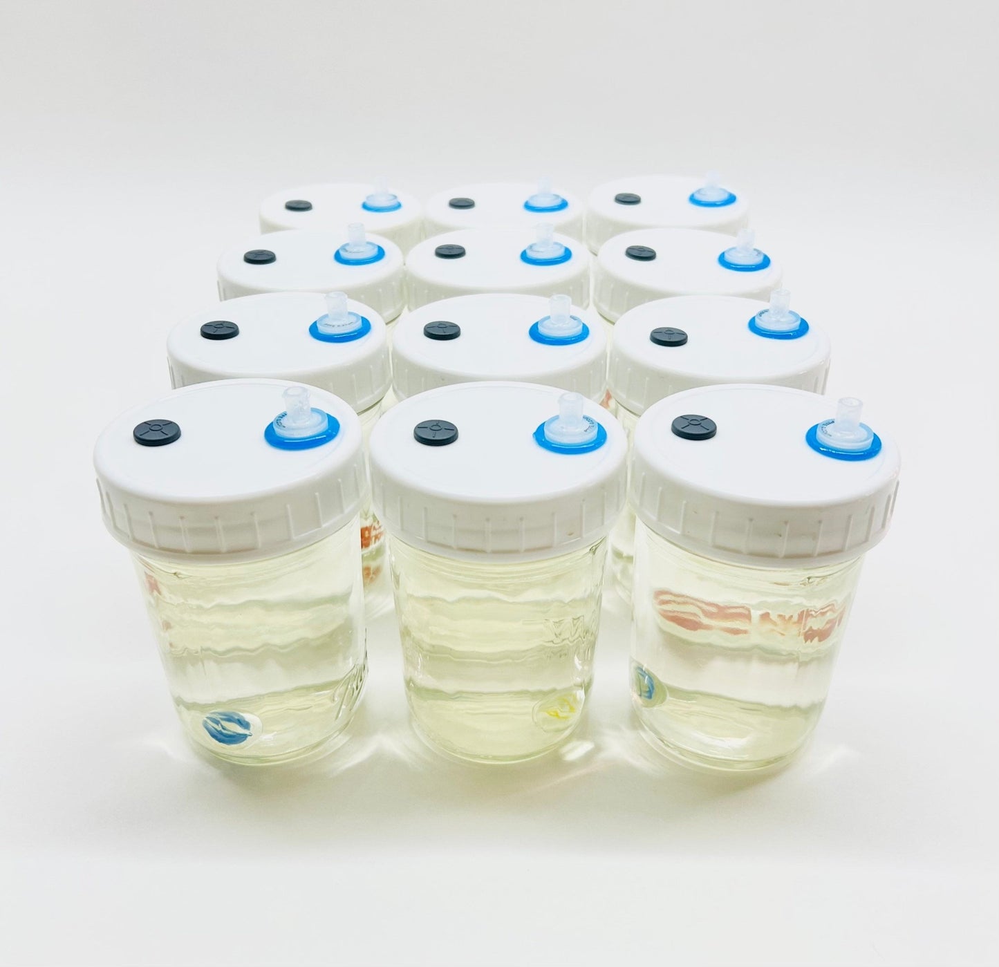 Liquid Culture Solution for Mushrooms - 12 Half Pint Jars - Sterilized - Silicone Seal - PTFE 0.22um Syringe Filter - Marble Mixer - fungicultureco