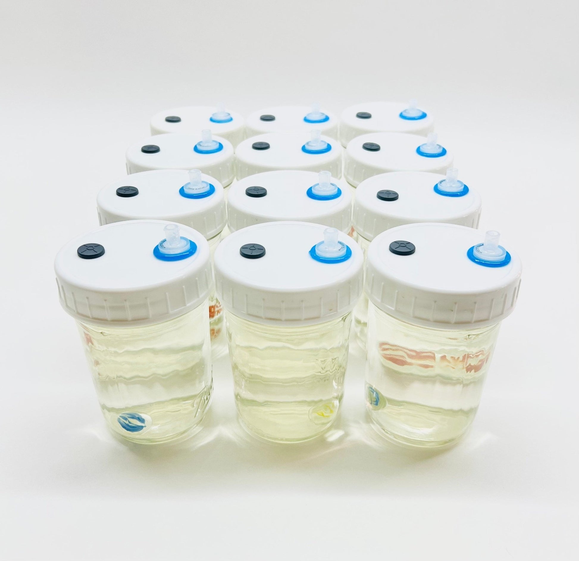 Liquid Culture Solution for Mushrooms - 12 Half Pint Jars - Sterilized - Silicone Seal - PTFE 0.22um Syringe Filter - Marble Mixer - fungicultureco