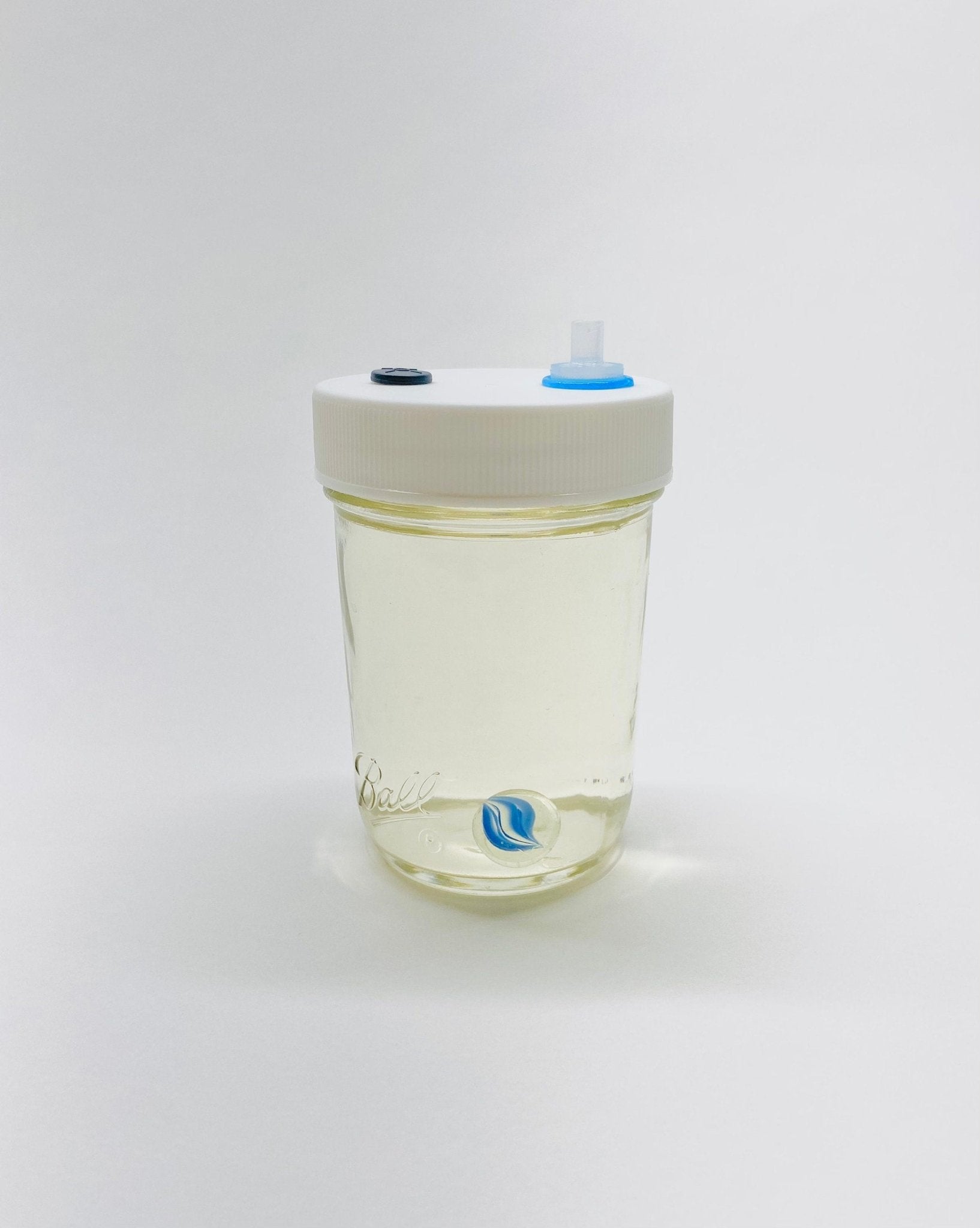 Liquid Culture Solution - Half Pint Jar - Sterilized - Silicone Seal - PTFE 0.22um Syringe Filter - Marble Mixer - fungicultureco