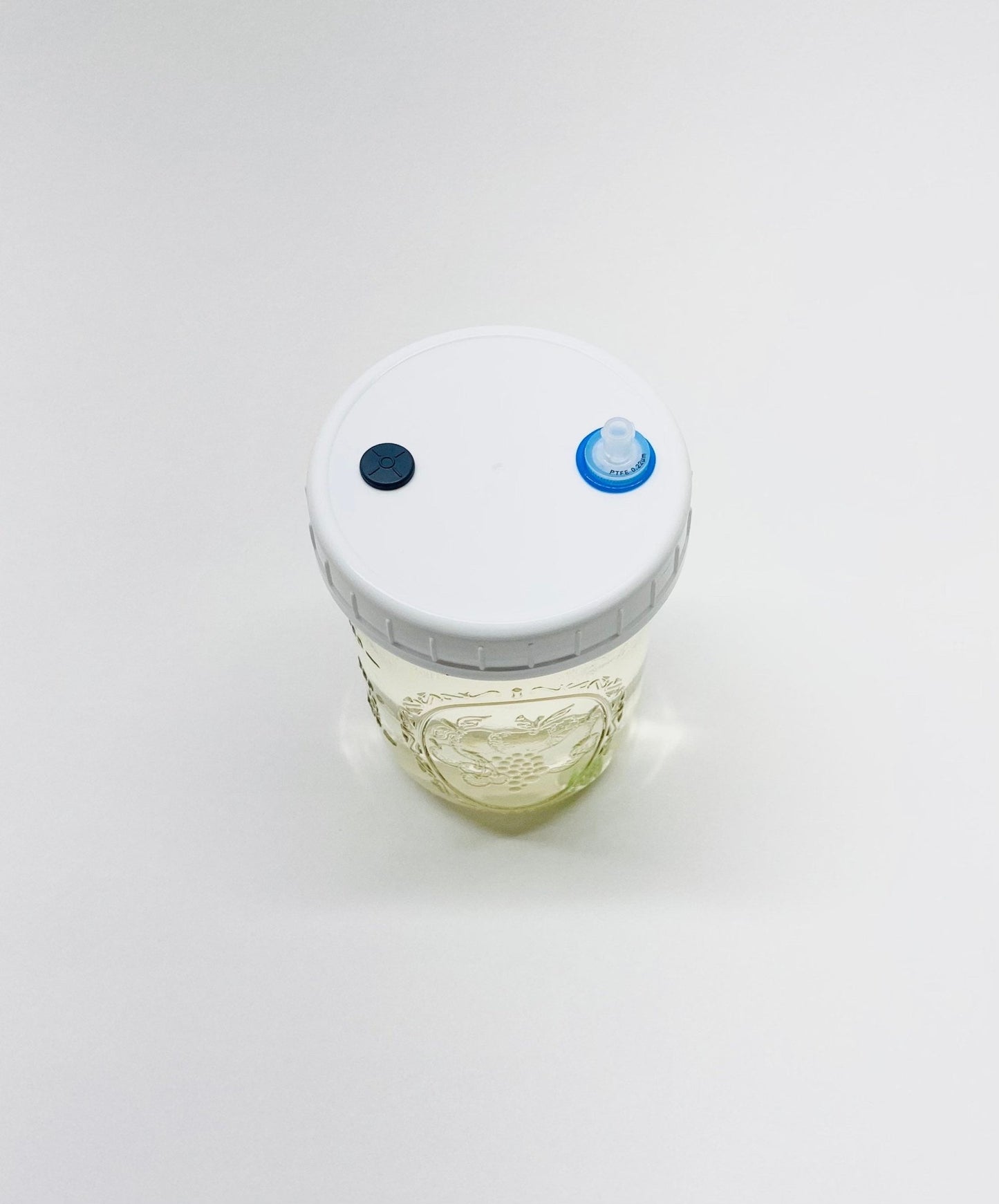 Liquid Culture Solution - Pint Jar - Sterilized - Silicone Seal - PTFE 0.22um Syringe Filter - Marble Mixer - fungicultureco