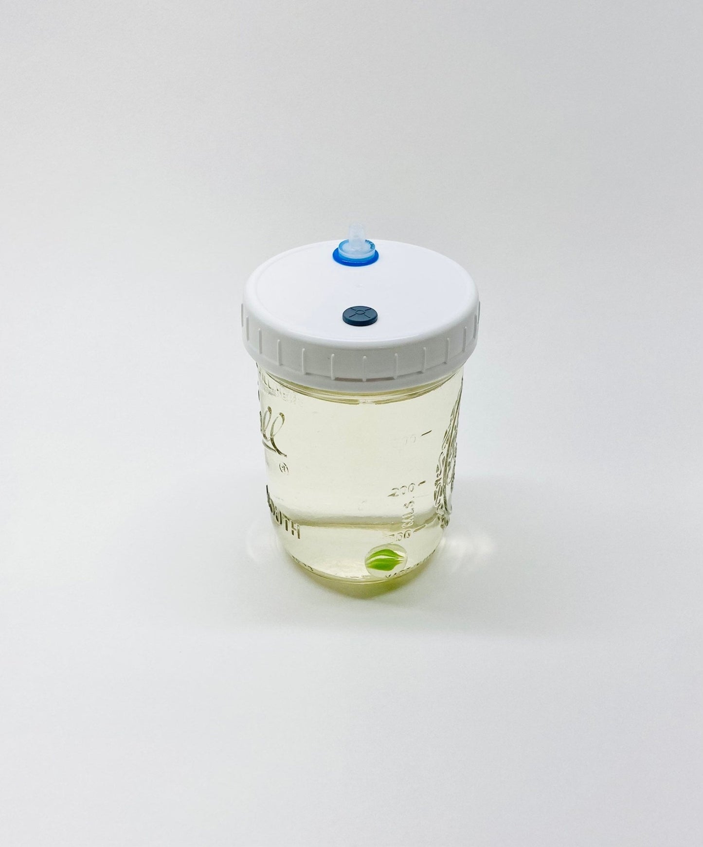 Liquid Culture Solution - Pint Jar - Sterilized - Silicone Seal - PTFE 0.22um Syringe Filter - Marble Mixer - fungicultureco