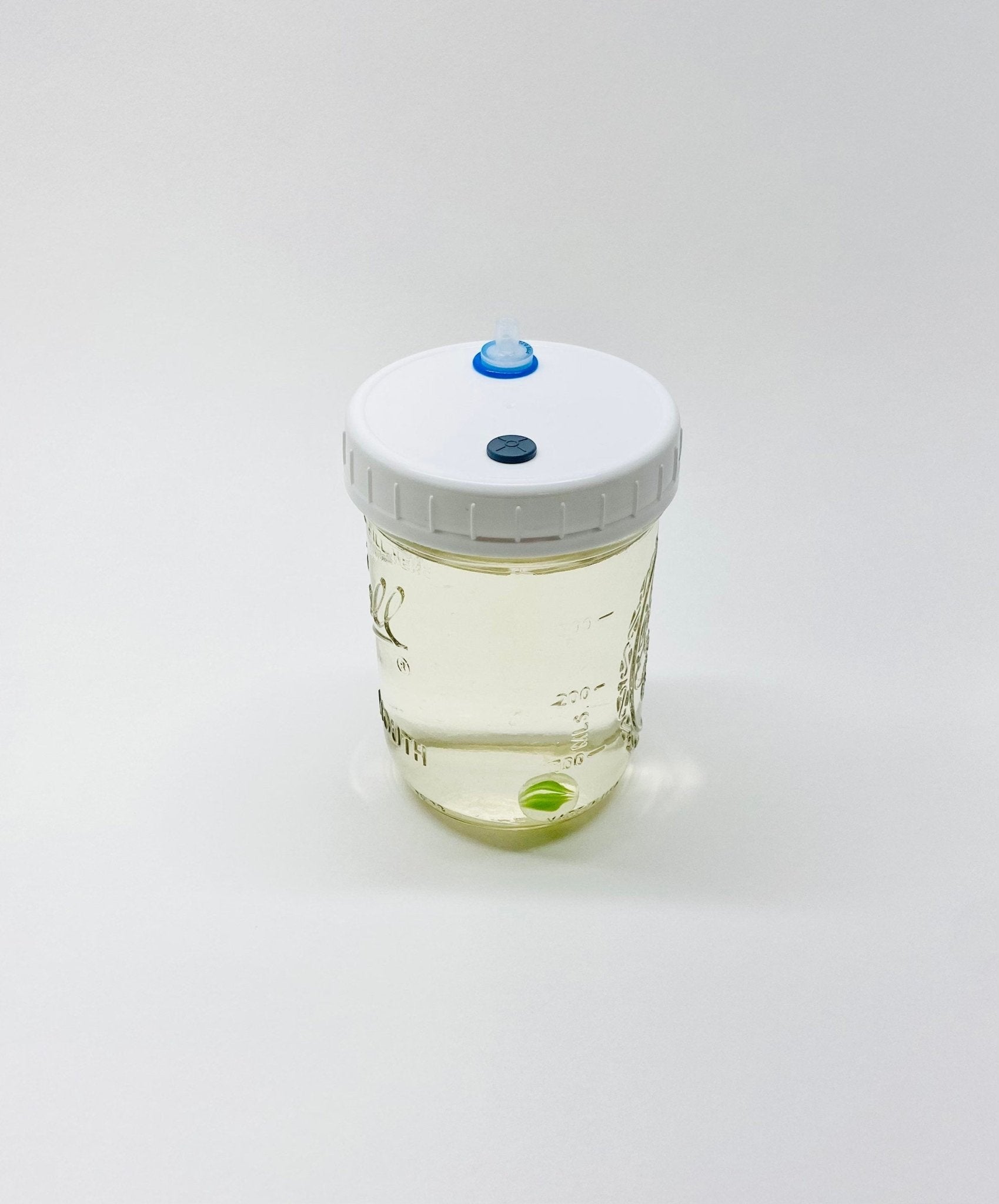 Liquid Culture Solution - Pint Jar - Sterilized - Silicone Seal - PTFE 0.22um Syringe Filter - Marble Mixer - fungicultureco