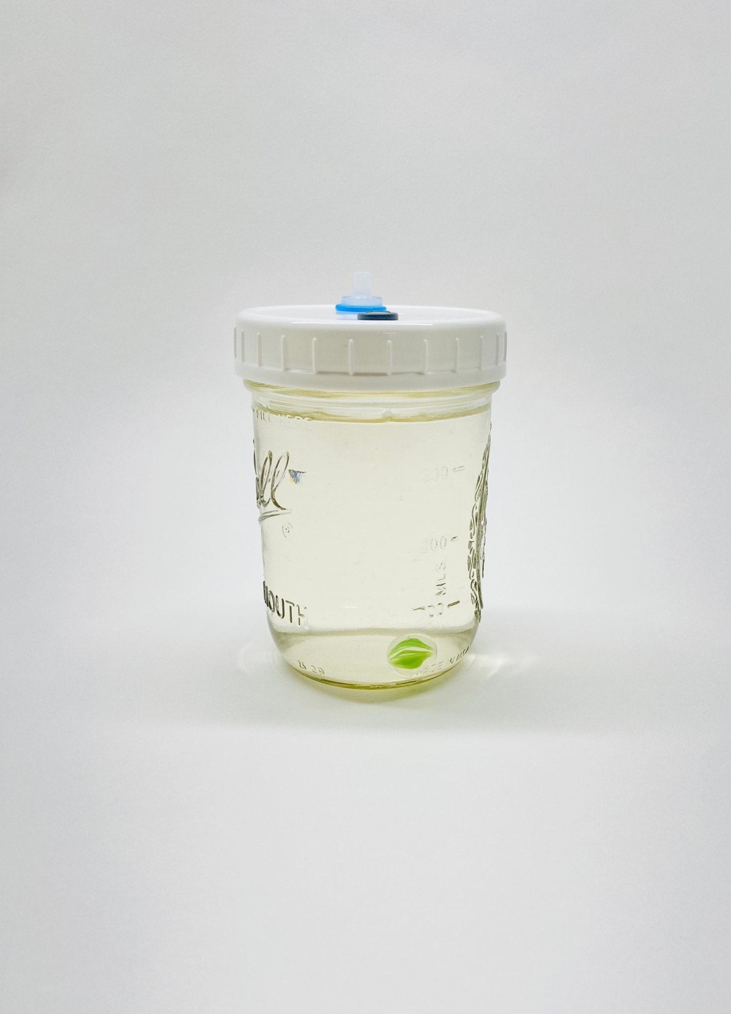 Liquid Culture Solution - Pint Jar - Sterilized - Silicone Seal - PTFE 0.22um Syringe Filter - Marble Mixer - fungicultureco