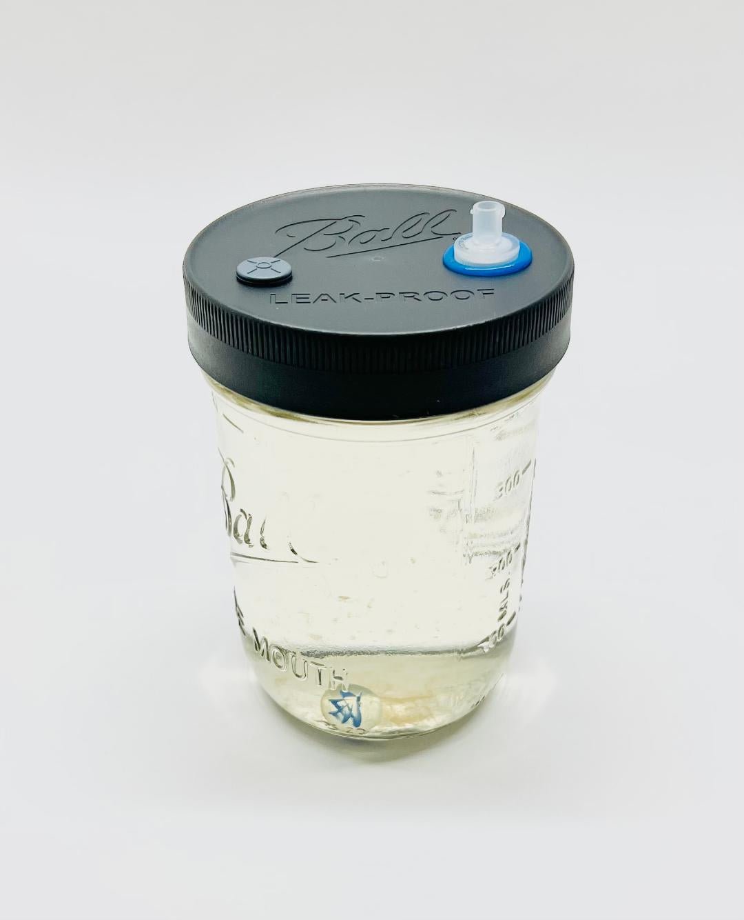 Liquid Culture Solutions - Variety Pack - Quart, Pint, Half - Pint Jars - PTFE 0.22um Syringe Filter - Marble Mixer - fungicultureco