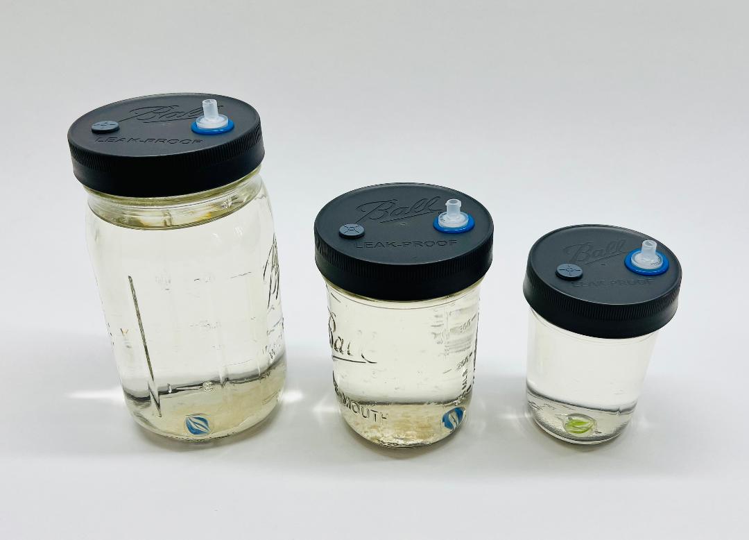 Liquid Culture Solutions - Variety Pack - Quart, Pint, Half - Pint Jars - PTFE 0.22um Syringe Filter - Marble Mixer - fungicultureco