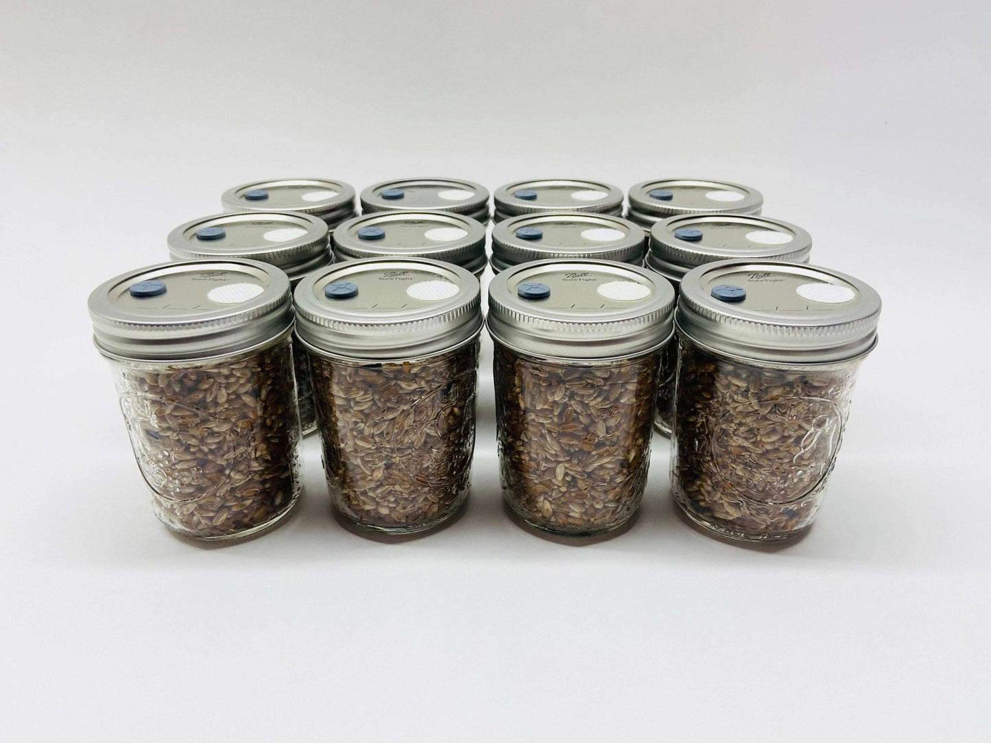 Organic Rye Berries - Mushroom Grain Spawn Substrate - 12 Half - Pint Jars - Sterilized - fungicultureco