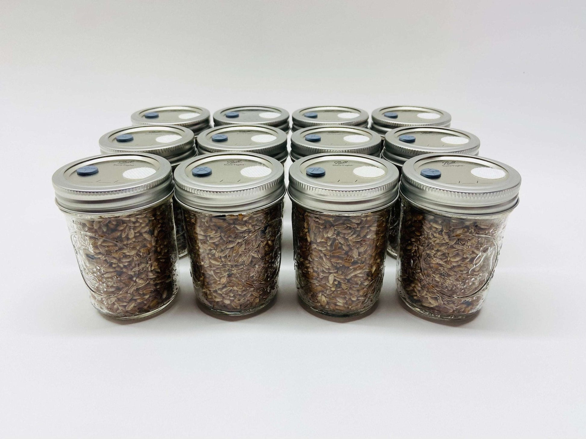 Organic Rye Berries - Mushroom Grain Spawn Substrate - 12 Half - Pint Jars - Sterilized - fungicultureco