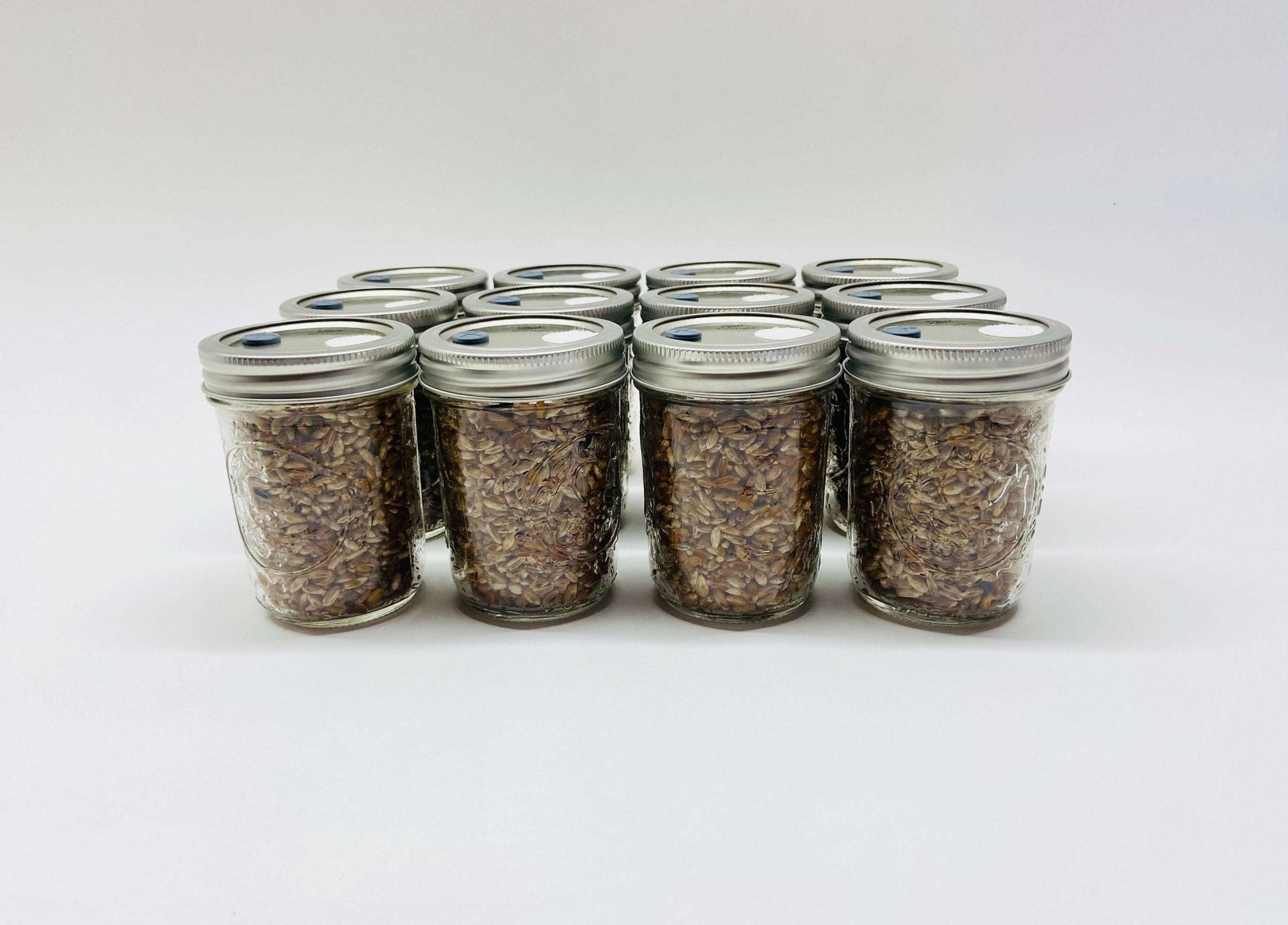 Organic Rye Berries - Mushroom Grain Spawn Substrate - 12 Half - Pint Jars - Sterilized - fungicultureco