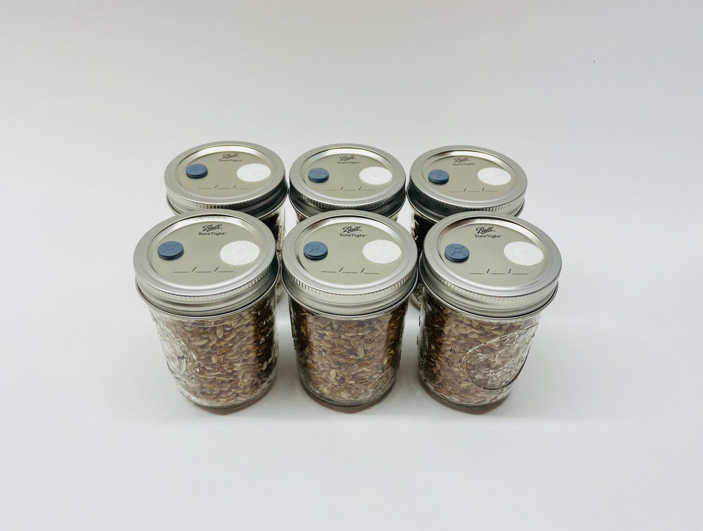 Organic Rye Berries - Mushroom Grain Spawn Substrate - 6 Half - Pint Jars - Sterilized - fungicultureco