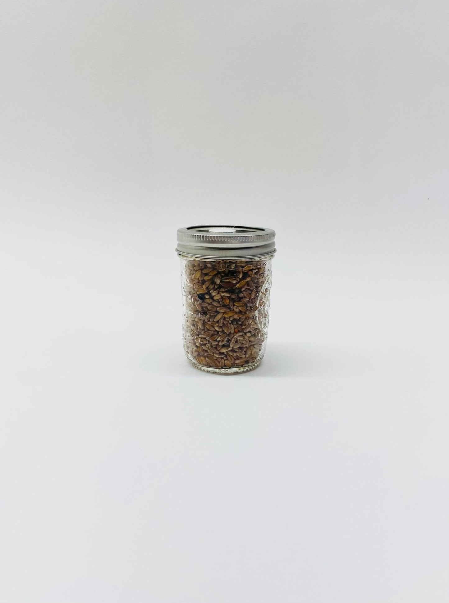 Organic Rye Berries - Mushroom Grain Spawn Substrate - 6 Half - Pint Jars - Sterilized - fungicultureco