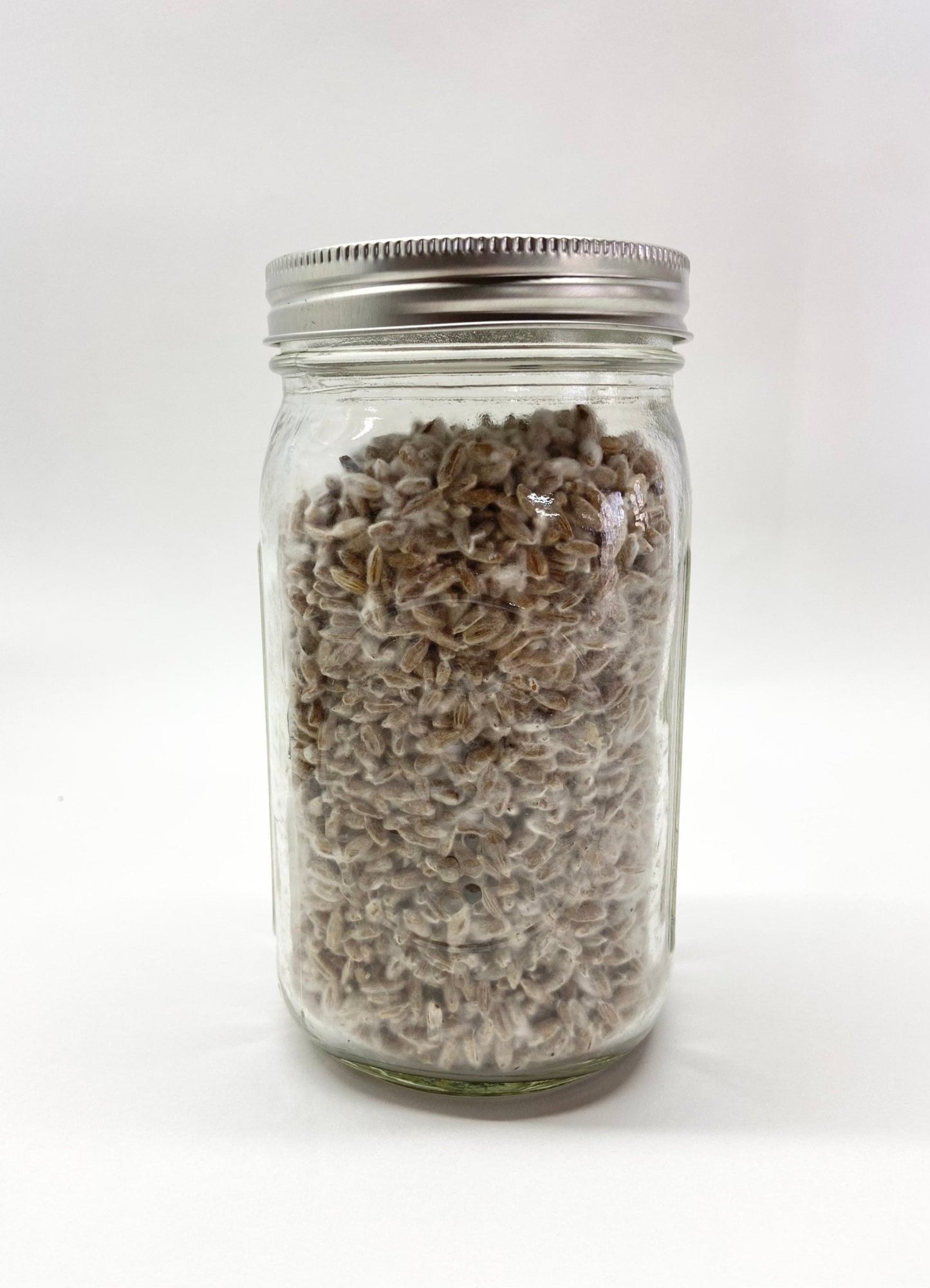 Organic Rye Berries - Mushroom Grain Spawn Substrate - Quart Jar - Organic - Sterilized - fungicultureco