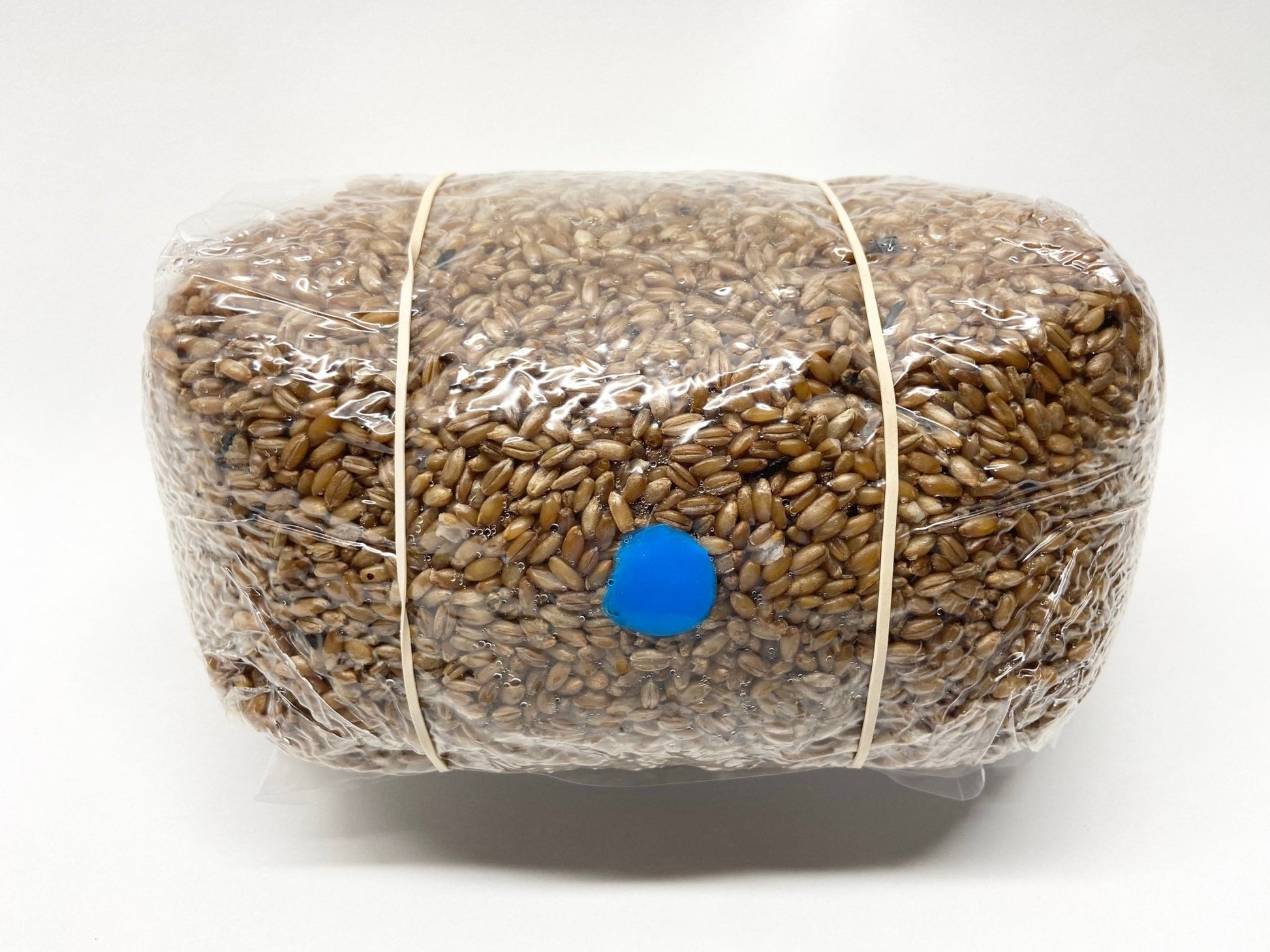 Organic Rye Berries - Mushroom Grain Spawn Substrate - Sterilized - (5 lbs.) - 0.2 Micron Filter - Self - Healing Injection Port - Grow Bag - fungicultureco