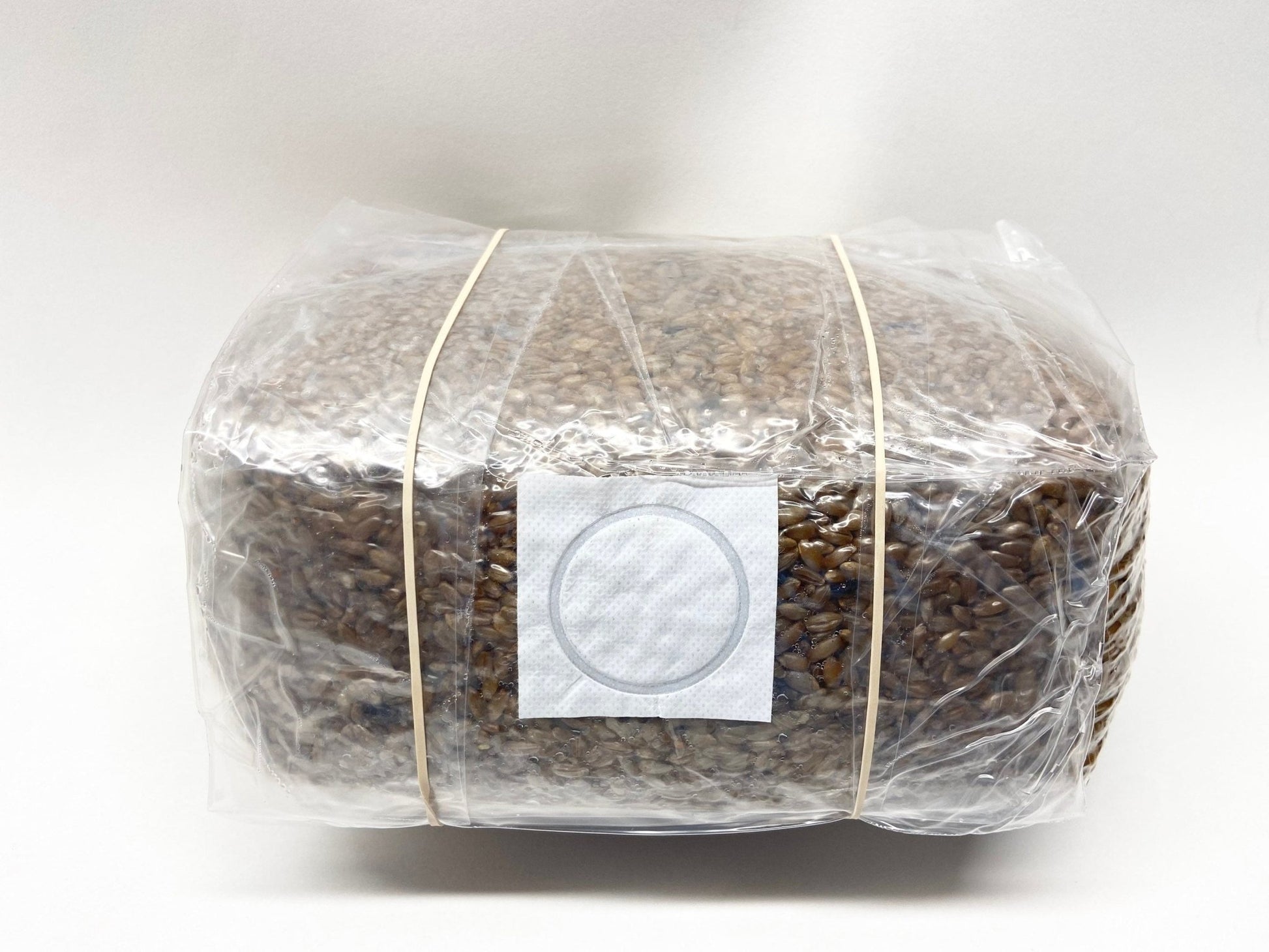 Organic Rye Berries - Mushroom Grain Spawn Substrate - Sterilized - (5 lbs.) - 0.2 Micron Filter - Self - Healing Injection Port - Grow Bag - fungicultureco