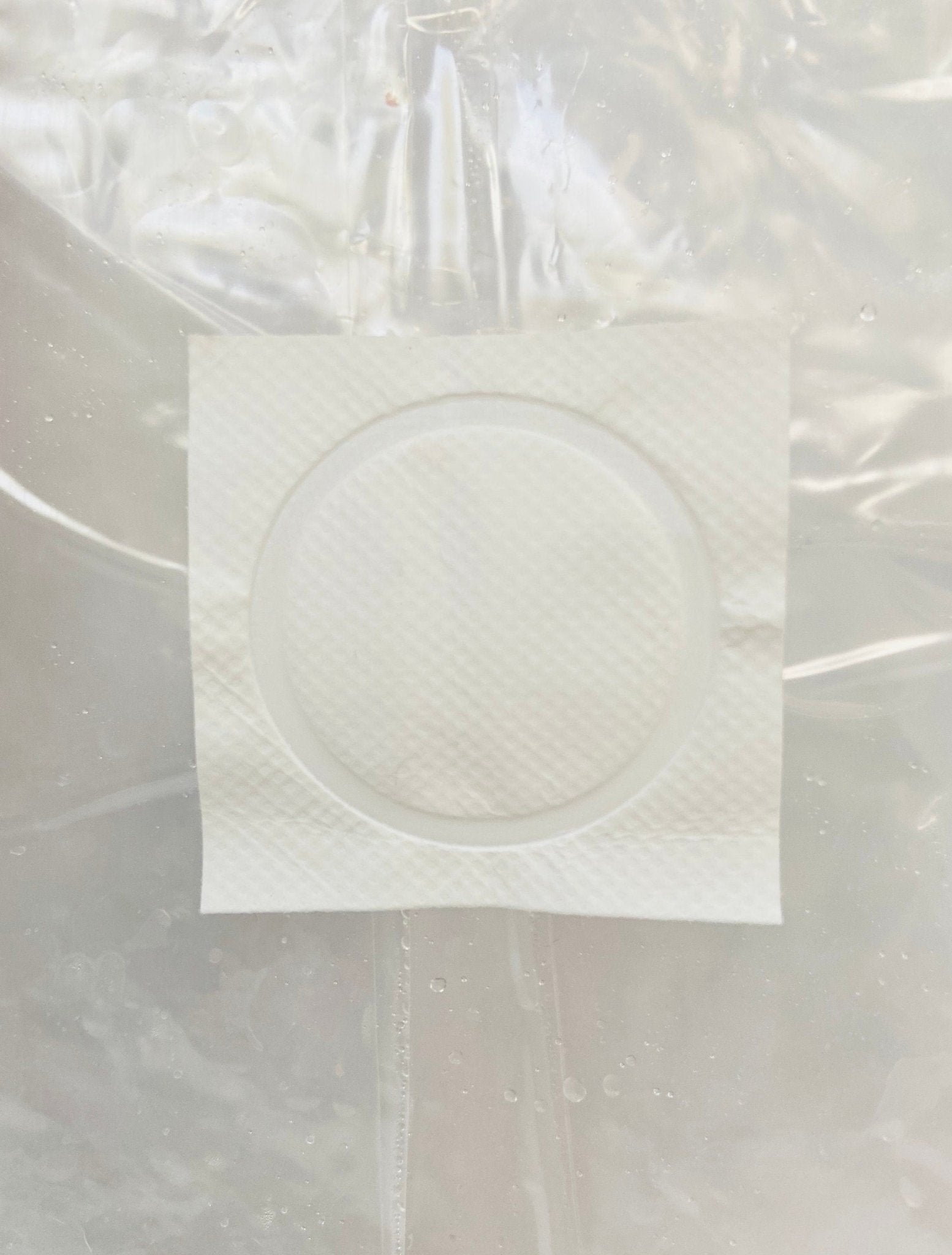 Organic Rye Berries - Mushroom Grain Spawn Substrate - Sterilized - (5 lbs.) - 0.2 Micron Filter - Self - Healing Injection Port - Grow Bag - fungicultureco