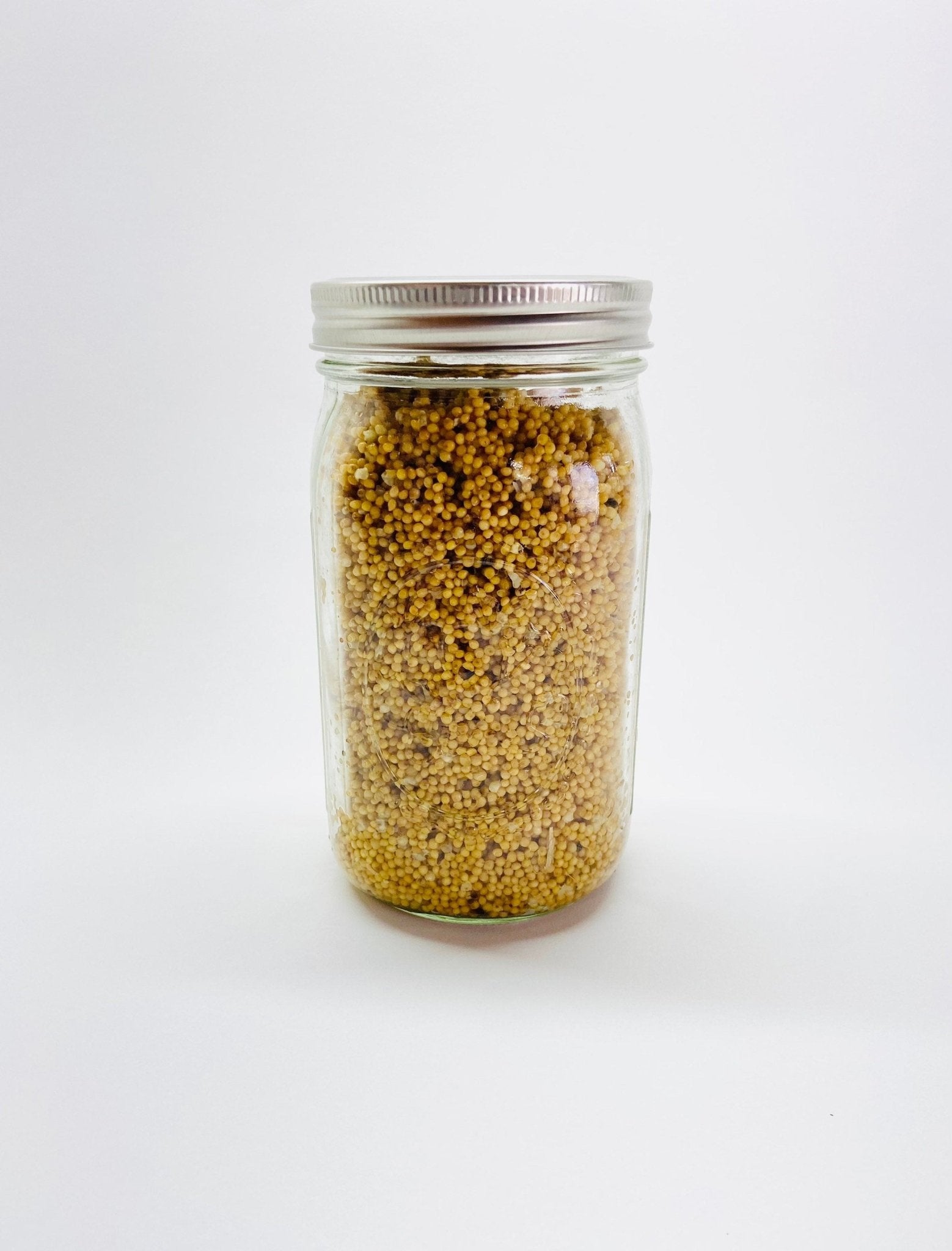 White Millet - Mushroom Grain Spawn Substrate - Quart Jar - Sterilized - fungicultureco