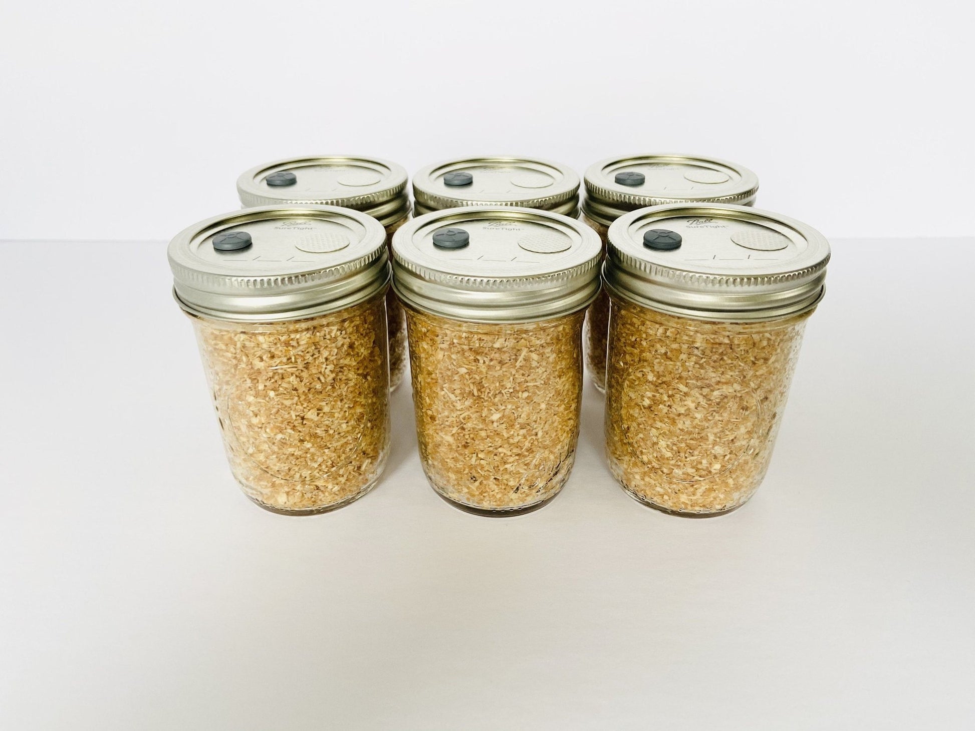 Wood Lovers Mushroom Substrate - 6 Half - Pint Jars - Sterilized Hardwood Sawdust + Organic Wheat Bran - Organic - fungicultureco