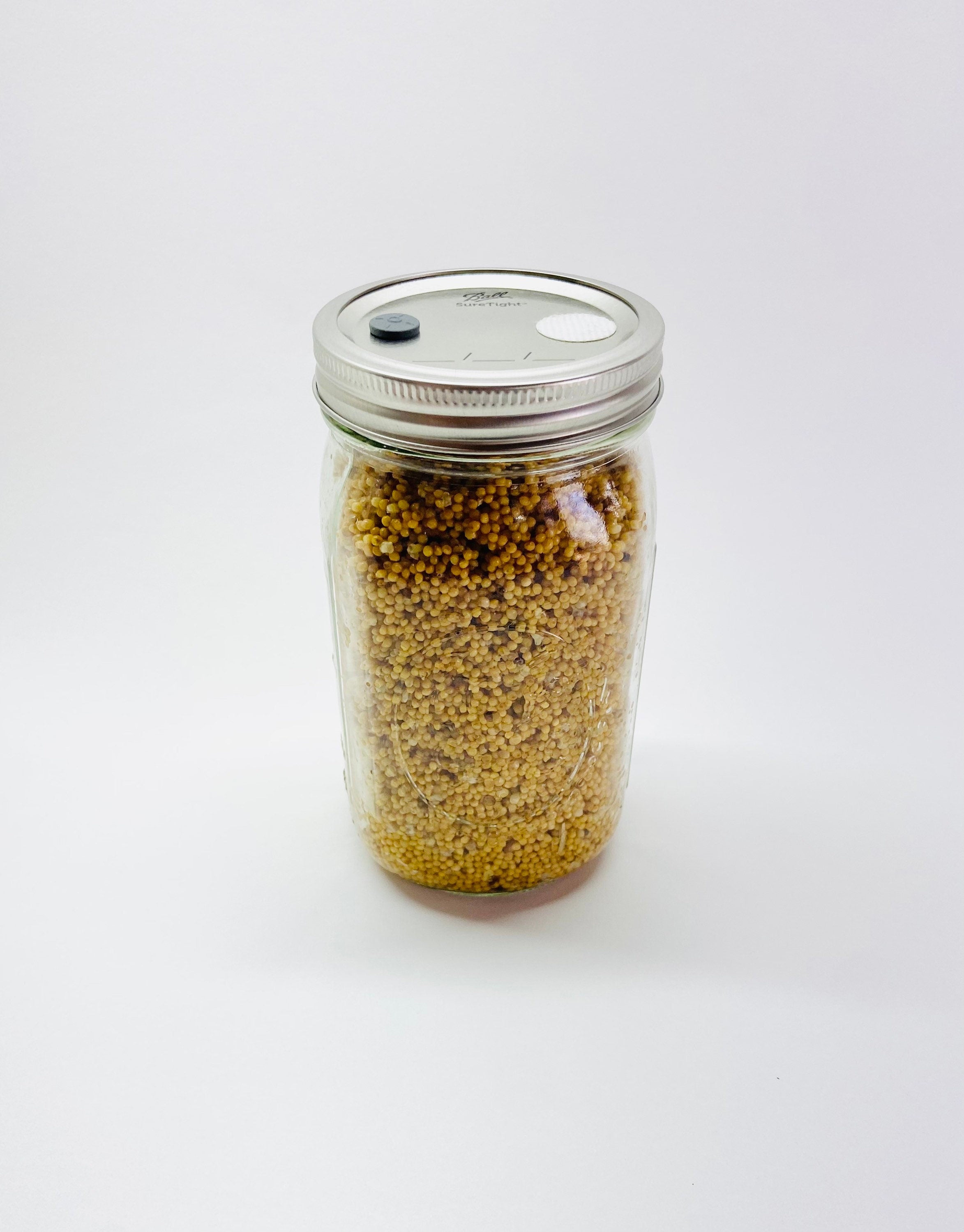 Sterilized Rye Berry Quart Jar Ready For Inoculation