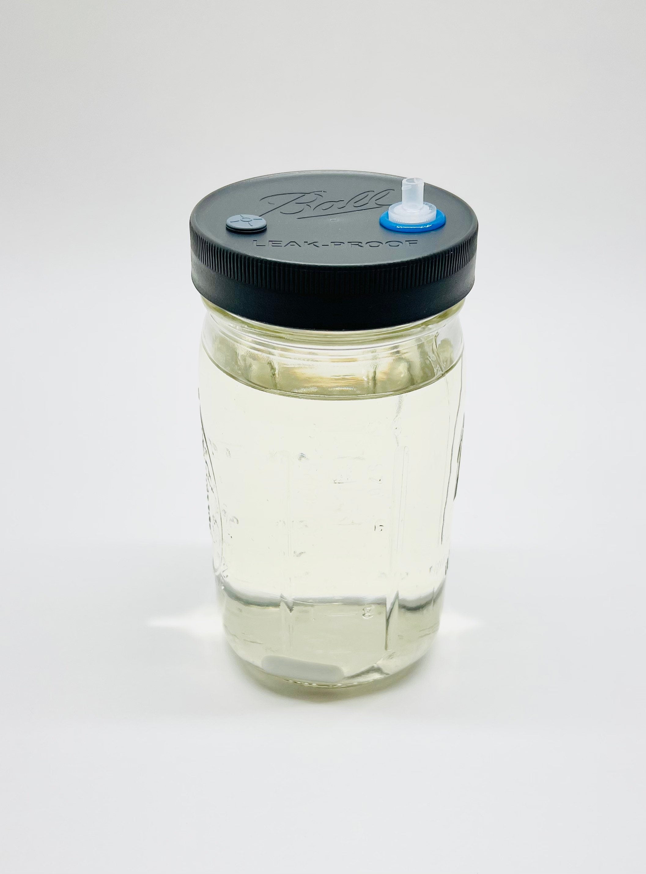 Liquid Culture Solution - Quart Jar - Magnetic Stir Bar - PTFE 0.22um  Syringe Filter